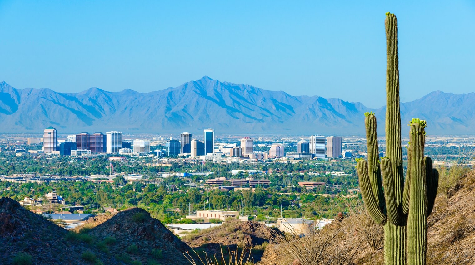 Phoenix