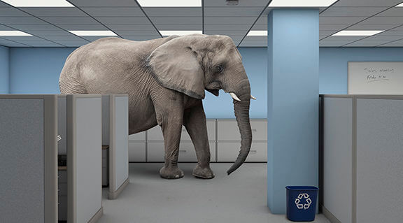 Elephant in the room work office